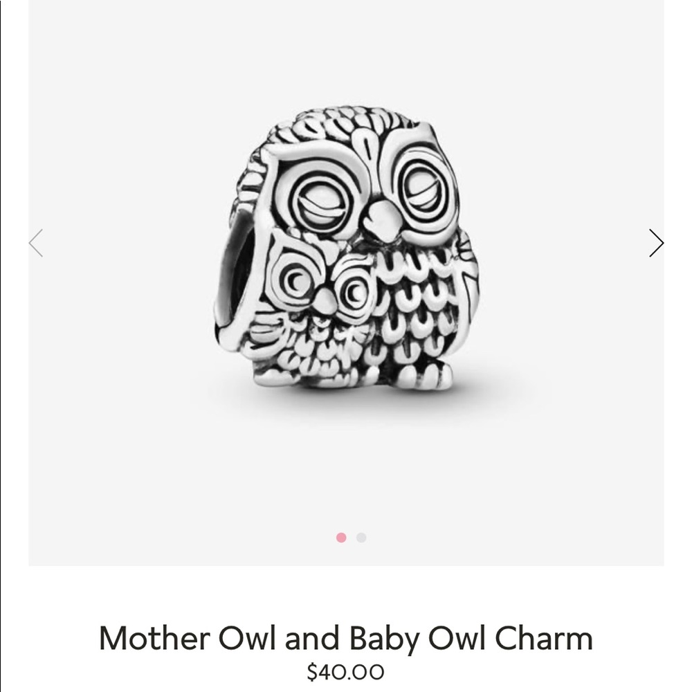 Mother Owl and Baby Owl Pandora Charm
